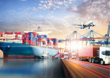 Food Import Export
